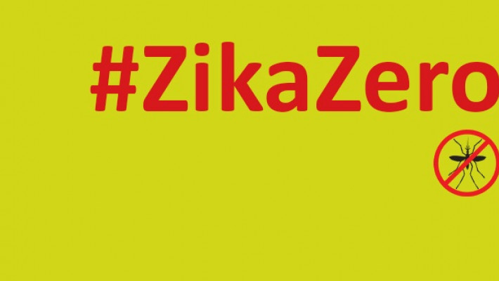 CONFIRA AS FOTOS DO DIA D  –  FAXINA CONTRA O AEDES AEGYPTI NAS AABBs